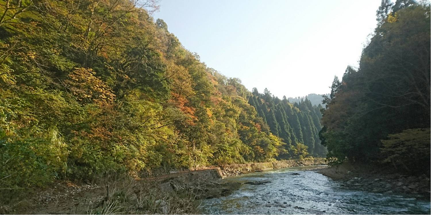 紅葉ウォーキング